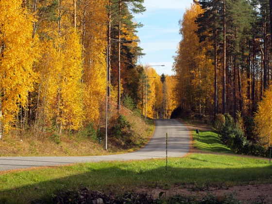 Ruskainen Paimensaarentie syksyllä.